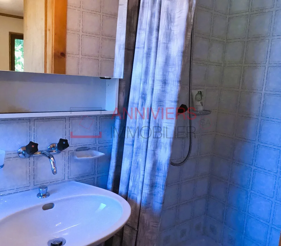 Mini studio ai piedi degli impianti di risalita a Grimentz – foto 6 di 12