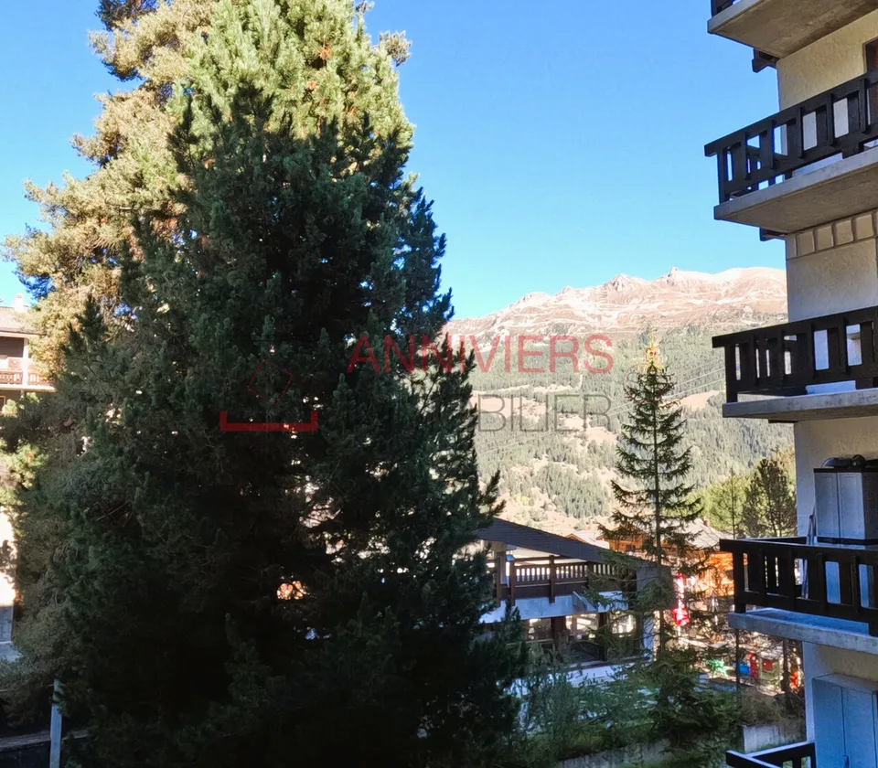 Mini studio ai piedi degli impianti di risalita a Grimentz – foto 11 di 12