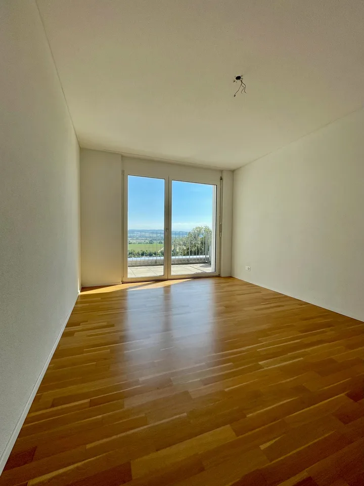 Attic view dream – photo 7 of 9