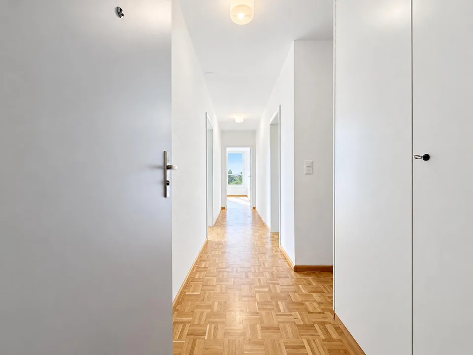 Appartamento 2.0 locali luminoso con vista panoramica nel quartiere di Hirzbrunnen – foto 2 di 12