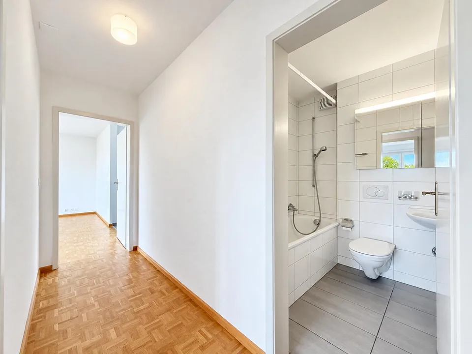 Appartamento 2.0 locali luminoso con vista panoramica nel quartiere di Hirzbrunnen – foto 4 di 12