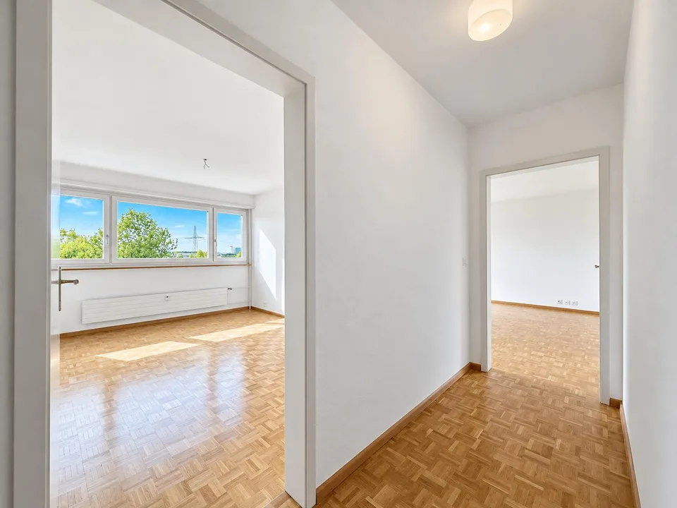 Appartamento 2.0 locali luminoso con vista panoramica nel quartiere di Hirzbrunnen – foto 6 di 12