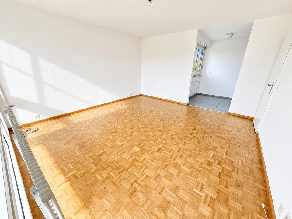 Appartamento 2.0 locali luminoso con vista panoramica nel quartiere di Hirzbrunnen – foto 10 di 12