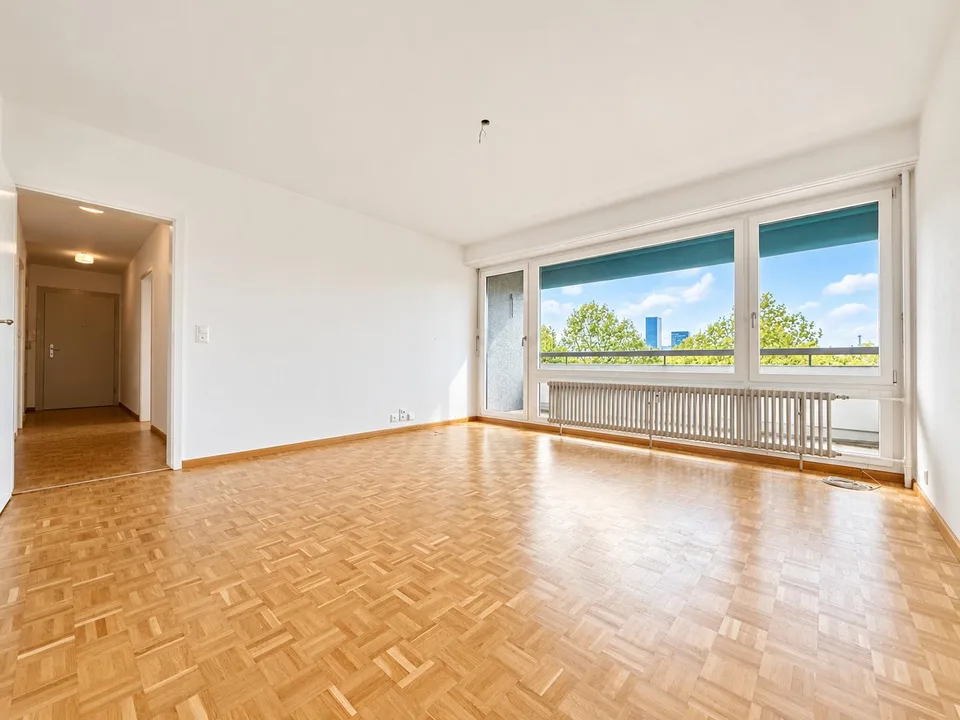 Appartamento 2.0 locali luminoso con vista panoramica nel quartiere di Hirzbrunnen – foto 8 di 12