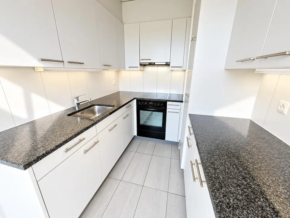 Appartamento 2.0 locali luminoso con vista panoramica nel quartiere di Hirzbrunnen – foto 12 di 12