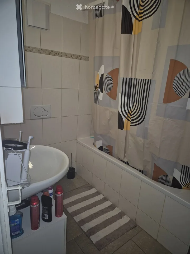 2,5 Adler – Foto 5 von 5