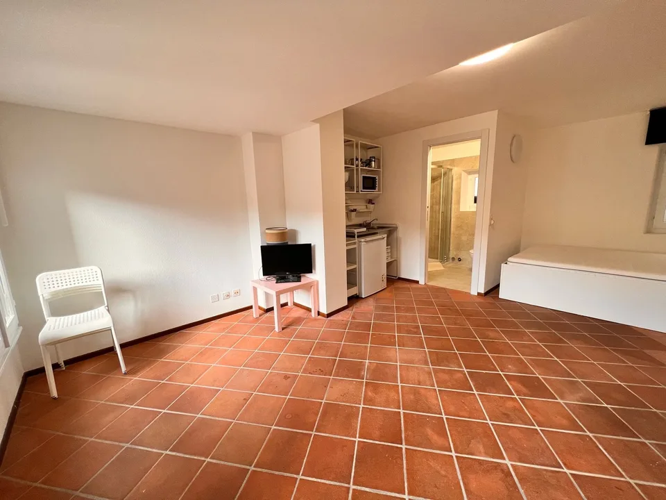 Rovio - Einzimmerwohnung in gutem Zustand – Foto 7 von 13