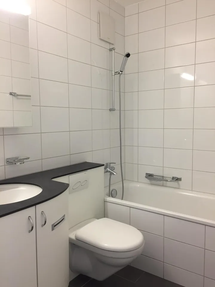 Appartamento attraente di 2 camere con 58 m² a Zürich-Schwamendingen – foto 2 di 3