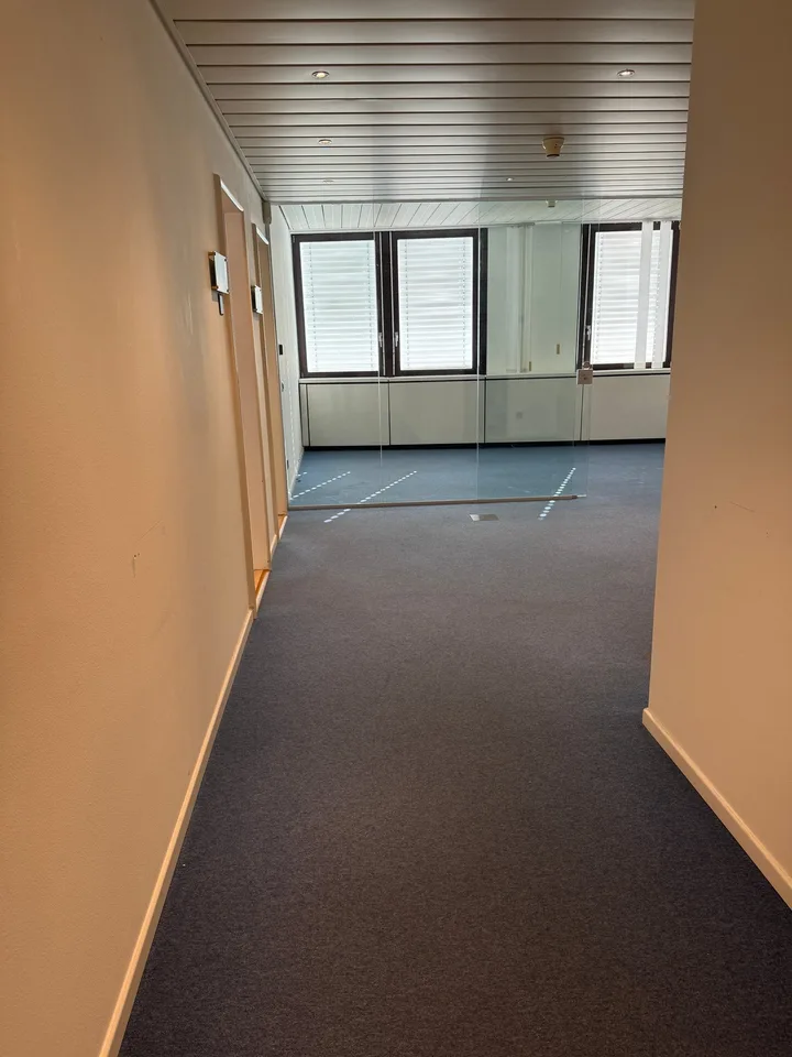 PALAZZINA DI UFFICI A REDDITO POSSIBILE ACQUISTO PER CITTADINI STRANIERI NON RESIDENTI IN SVIZZERA – foto 19 di 30
