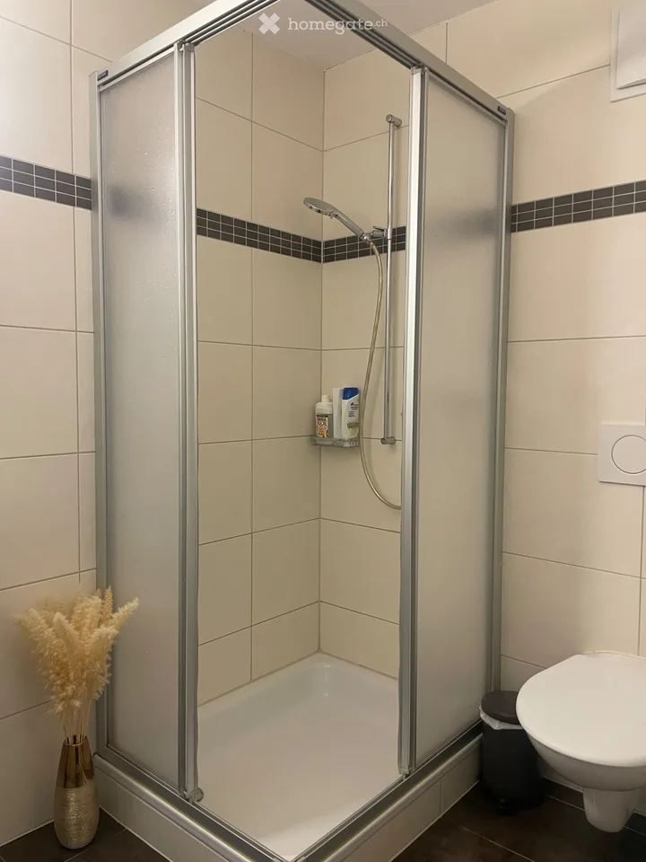 Wiederaufnahme des Mietvertrags Helles 3,5-Zimmer-Apartment mit 85 m² in La Roche – Foto 3 von 5