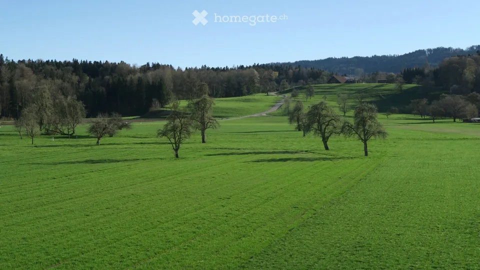Helle 5-Zi-Wohnung angrenzend an Landwirtschaftszone mit verglastem Balkon in Mönchaltorf – Foto 15 von 18