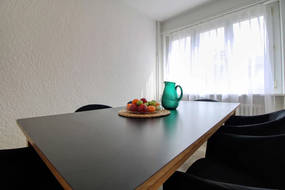 Spacious Coliving Apartment with Large Terrace in Wallisellen – Foto 16 von 22