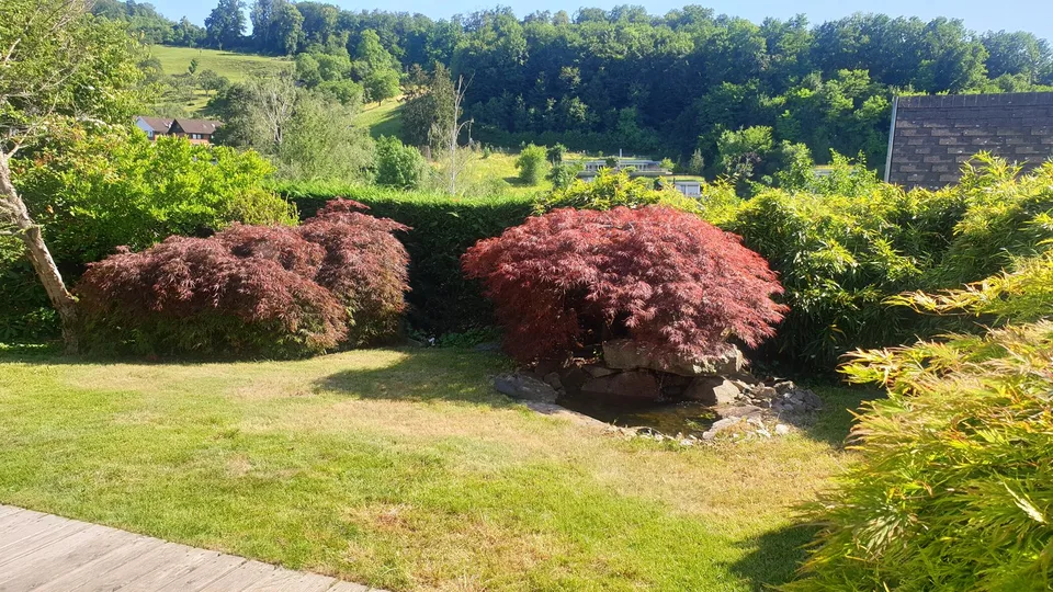 Deliziosa casa unifamiliare a Münchenstein! – foto 28 di 30