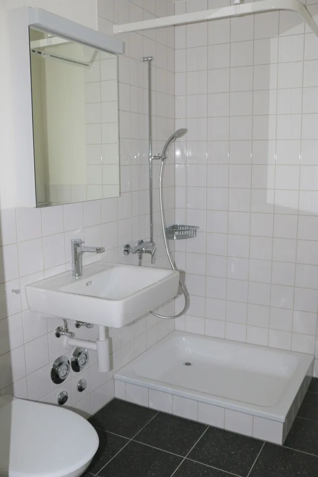 3.5-Room Apartment - Wallrütistrasse 119a, 8404 Winterthur – photo 9 of 10