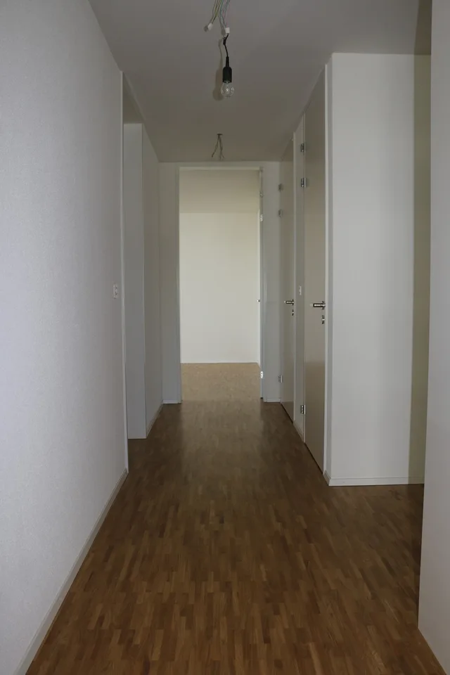 3.5-Room Apartment - Wallrütistrasse 119a, 8404 Winterthur – photo 5 of 10