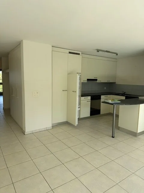 Appartamento Giardino 4.5 Locali a Baar-Inwil – foto 3 di 9