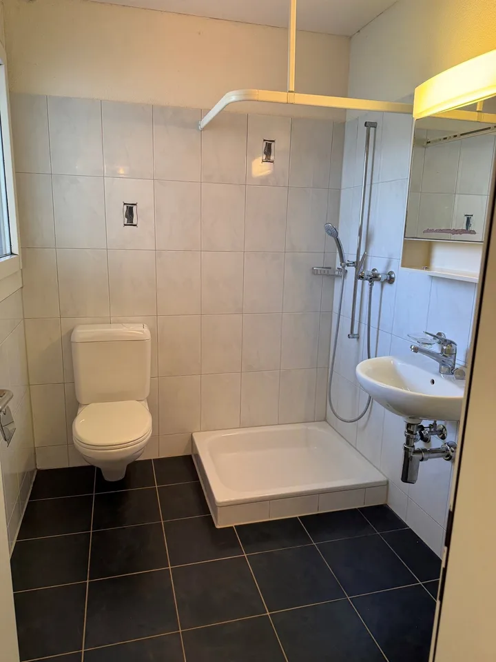 Appartamento Giardino 4.5 Locali a Baar-Inwil – foto 7 di 9