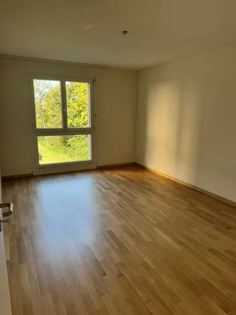 Appartamento Giardino 4.5 Locali a Baar-Inwil – foto 5 di 9
