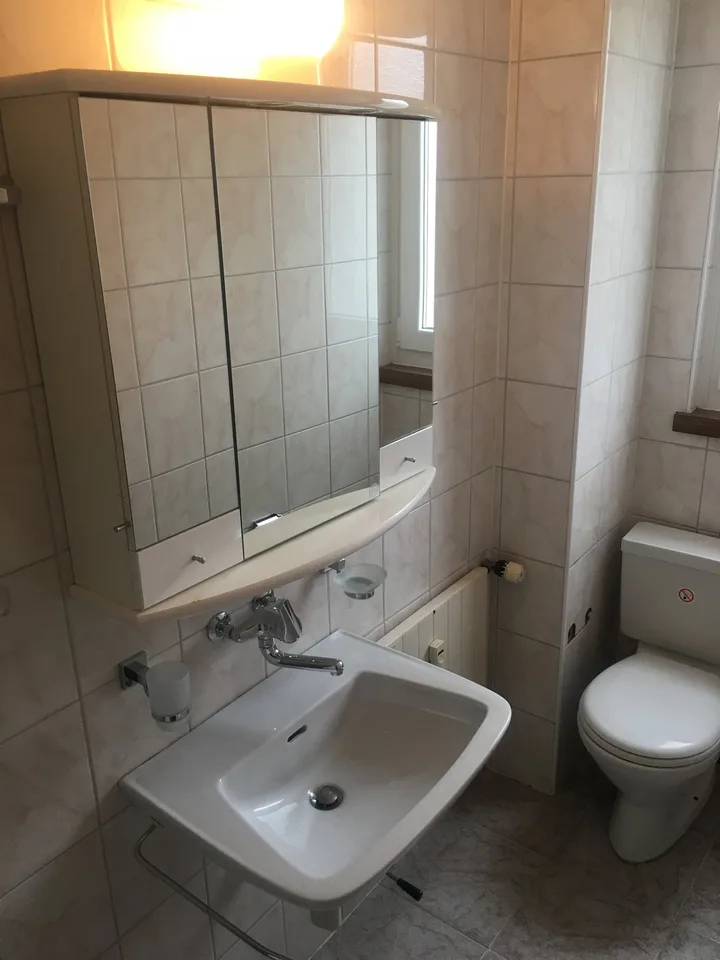 Appartement charmant d'une pièce au 2e étage à Romanshorn – photo 8 sur 13