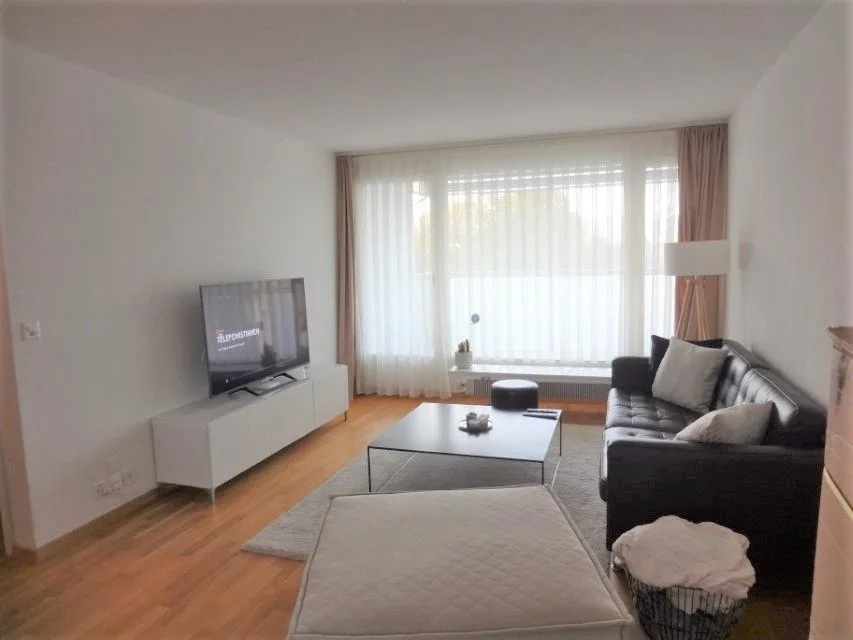 Soleggiato & ristrutturato - appartamento 2,5 locali vicino a Westside! – foto 2 di 7