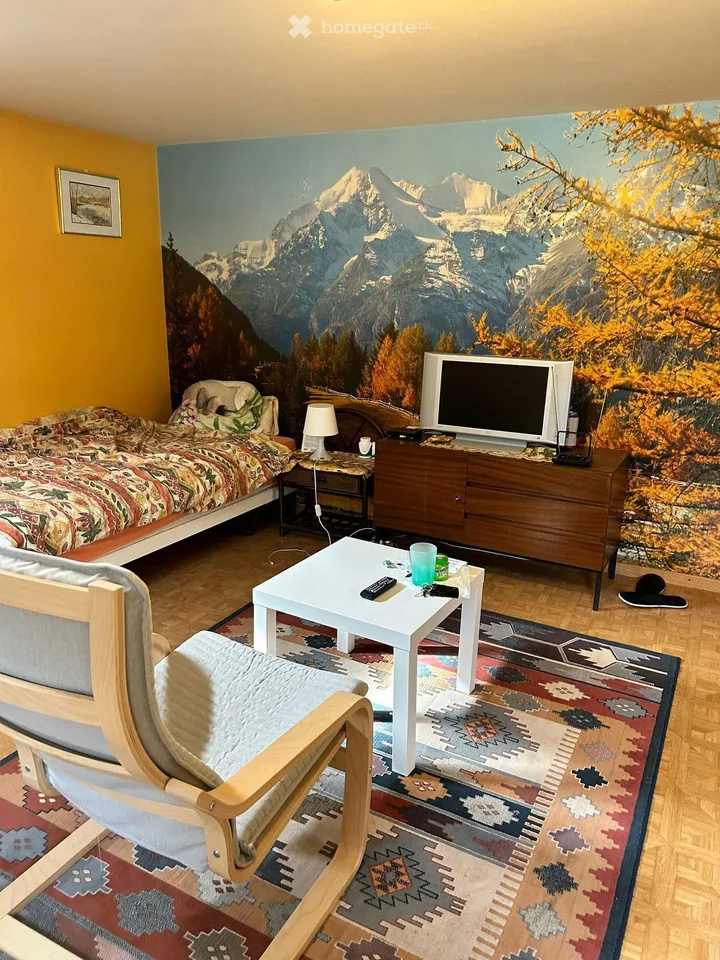 Studio in Bernex in einer Villa zu vermieten – Foto 2 von 5