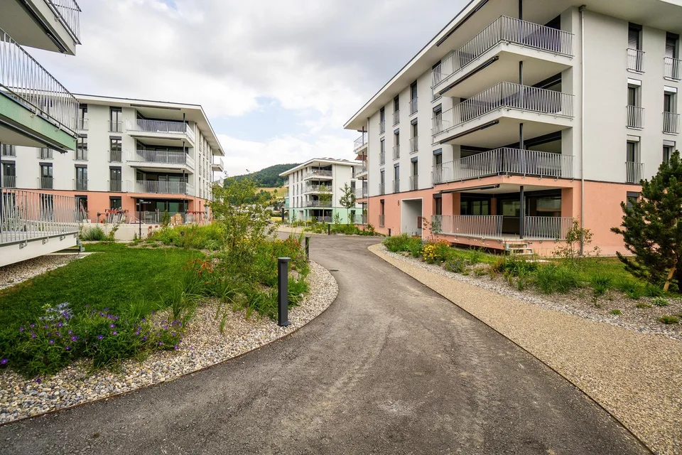 2.5 Zimmerwohnung in Reinach AG – Foto 11 von 13