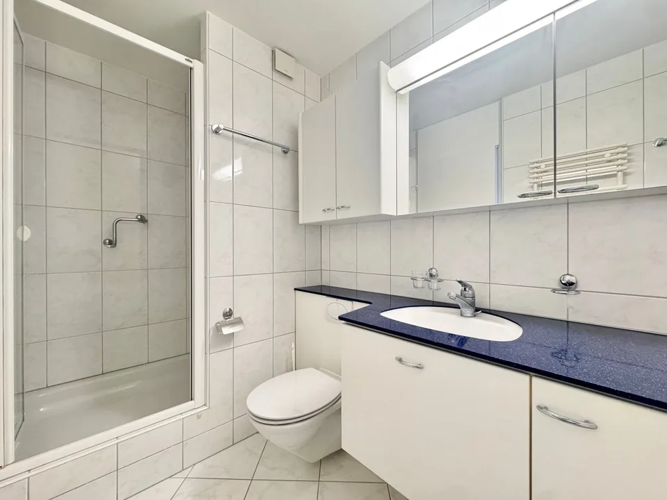 Helle 4.5 Zimmer Wohnung über den Dächern von St. Gallen – Foto 3 von 11
