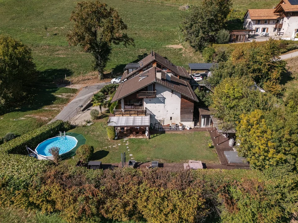 Duplex de caractère dans une ferme du XIXe siècle, face au Léman et aux Alpes – photo 14 sur 14