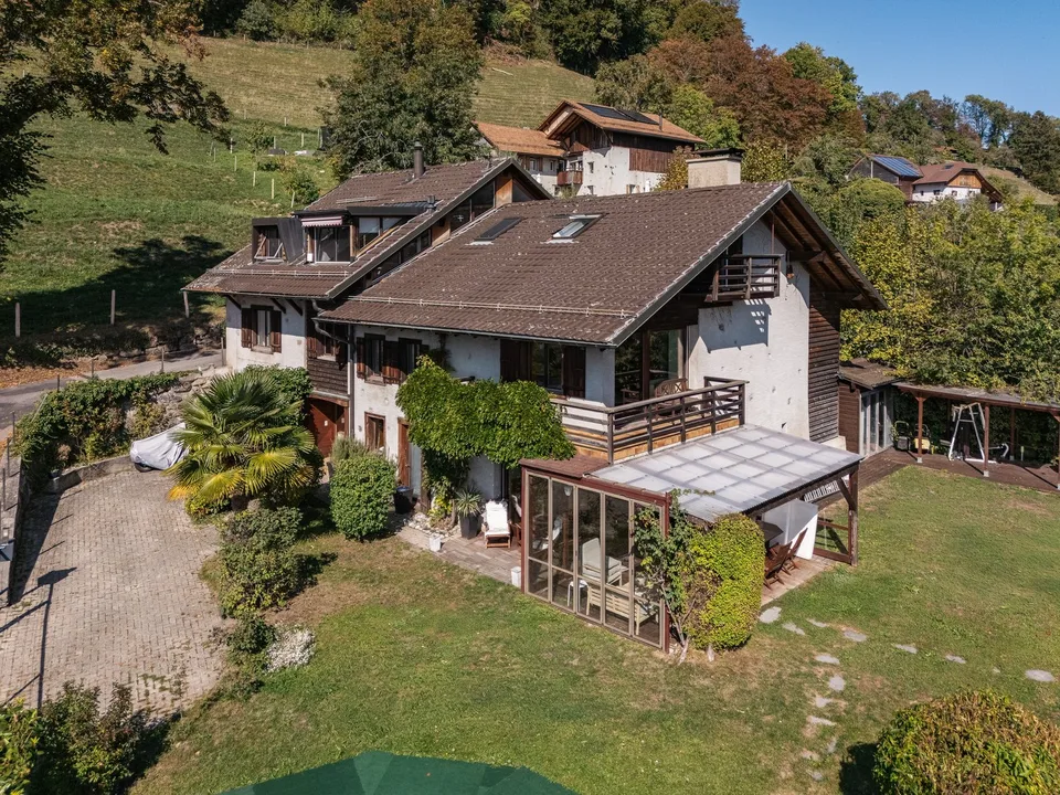 Duplex de caractère dans une ferme du XIXe siècle, face au Léman et aux Alpes – photo 5 sur 14