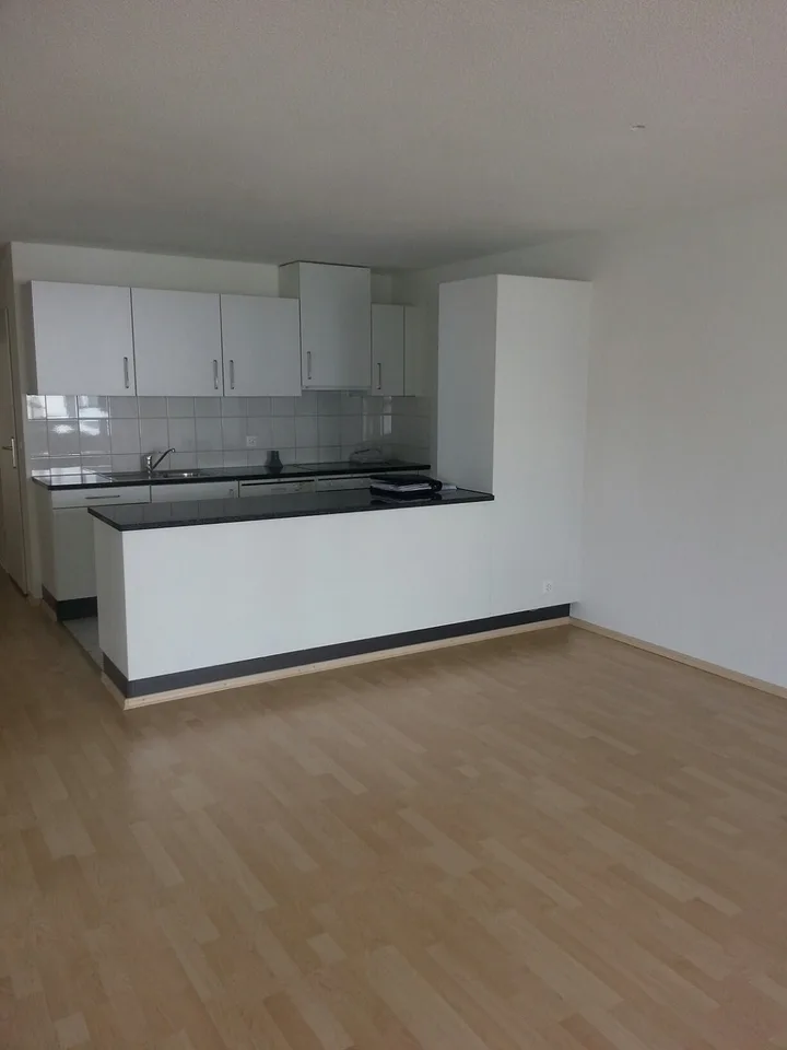 Recherche de sous-locataire pour appartement 3.5 pièces central – photo 3 sur 6
