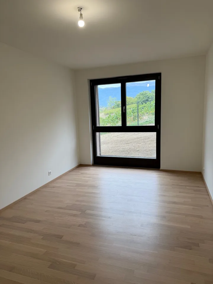 Appartamenti 4 locali piano terra in vendita a Russin – foto 5 di 9