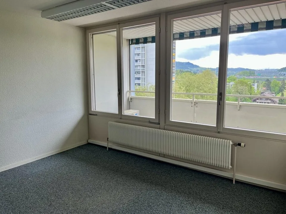 Appartamento urbano soleggiato di 6 stanze con vista sulle Alpi (a termine) – foto 3 di 7