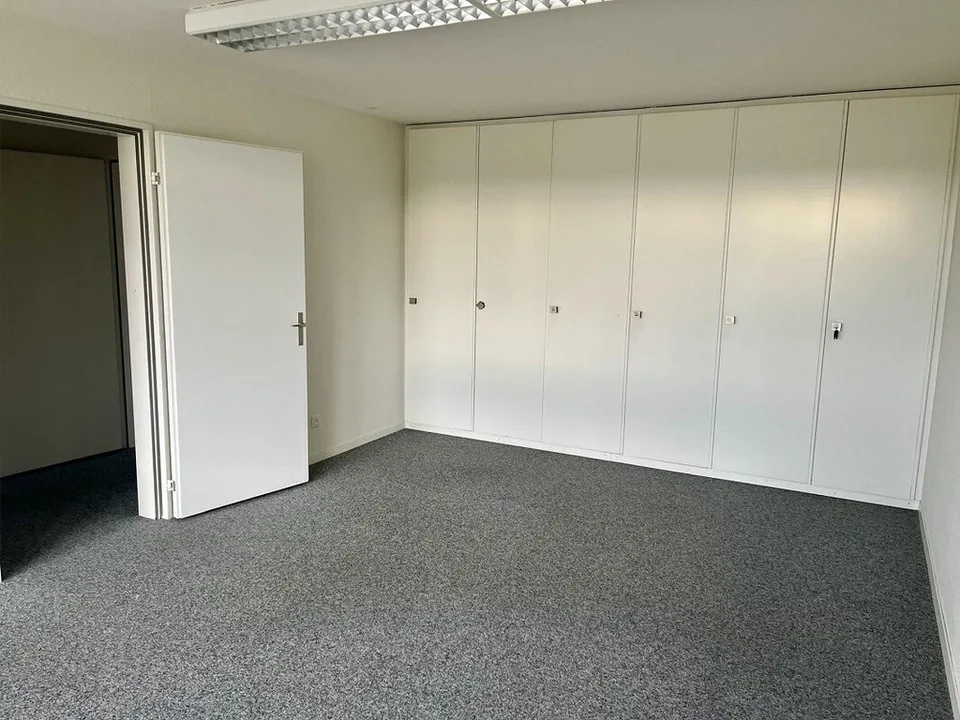 Appartamento urbano soleggiato di 6 stanze con vista sulle Alpi (a termine) – foto 6 di 7