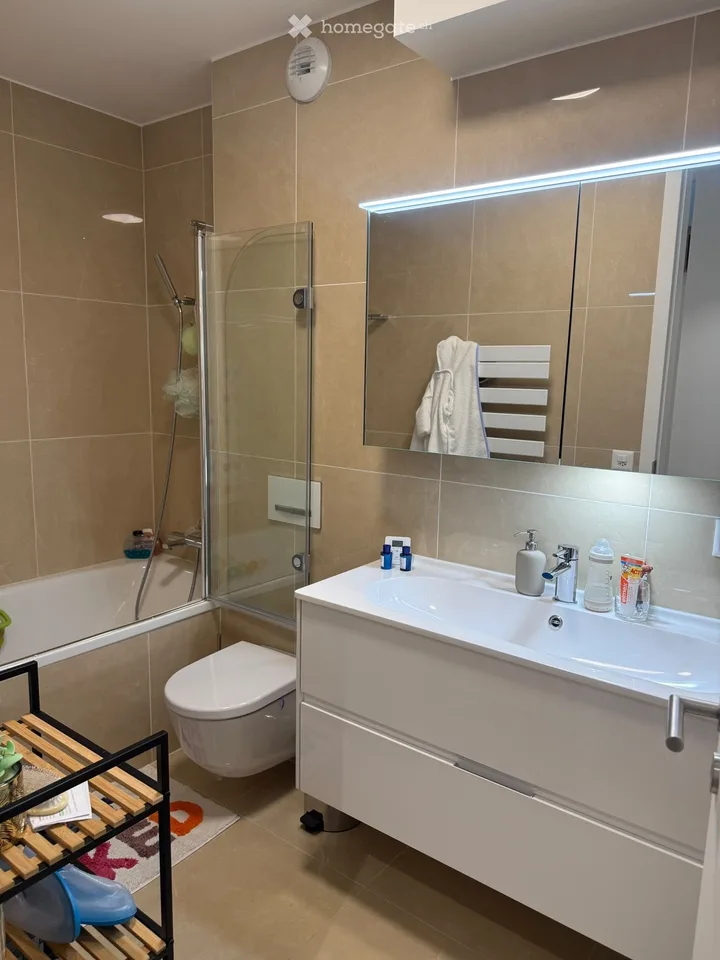Magnifique attique en duplex avec rooftop et vue lac – photo 18 sur 19