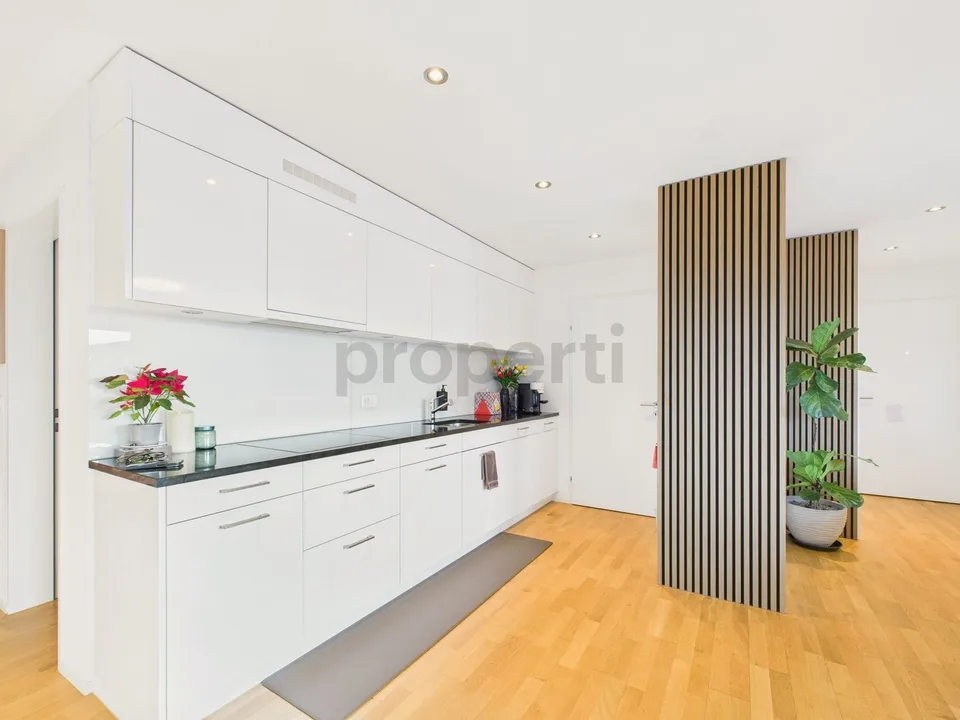 PANORAMA AVEC AMÉNAGEMENT MODERNE – photo 2 sur 12