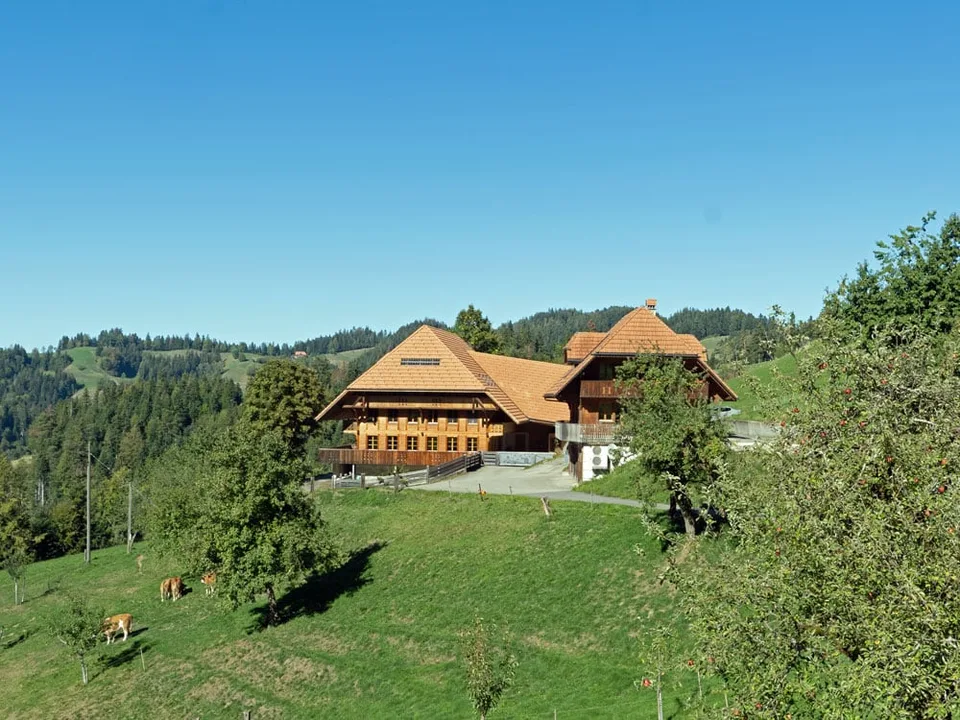 Maison paysanne de 6,5 pièces neuve avec deux appartements et vue à perte de vue – photo 2 sur 16