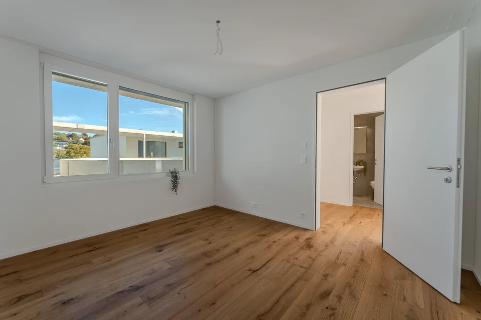 Ein Panorama zum Verlieben – Neubau-ATTIKA in Aarburg – Foto 7 von 15