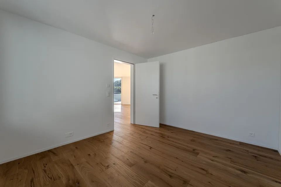 Ein Panorama zum Verlieben – Neubau-ATTIKA in Aarburg – Foto 8 von 15