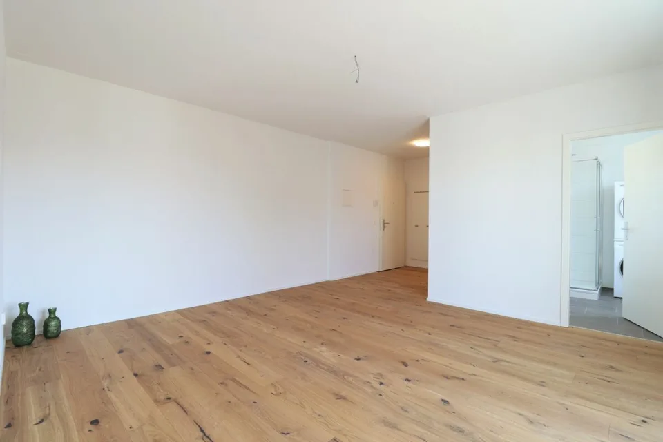 Appartamento moderno 2.5 locali in un quartiere tranquillo – foto 2 di 6
