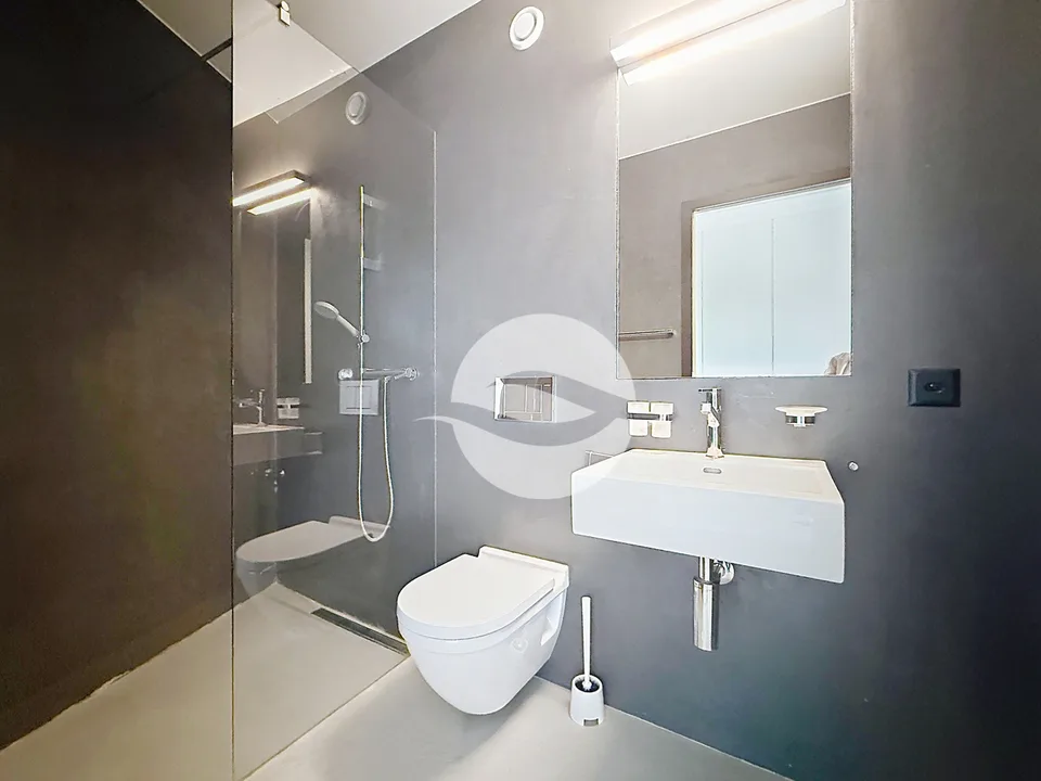 Petit-Lancy - Superbo appartamento di 6.5 locali con terrazza – foto 9 di 10