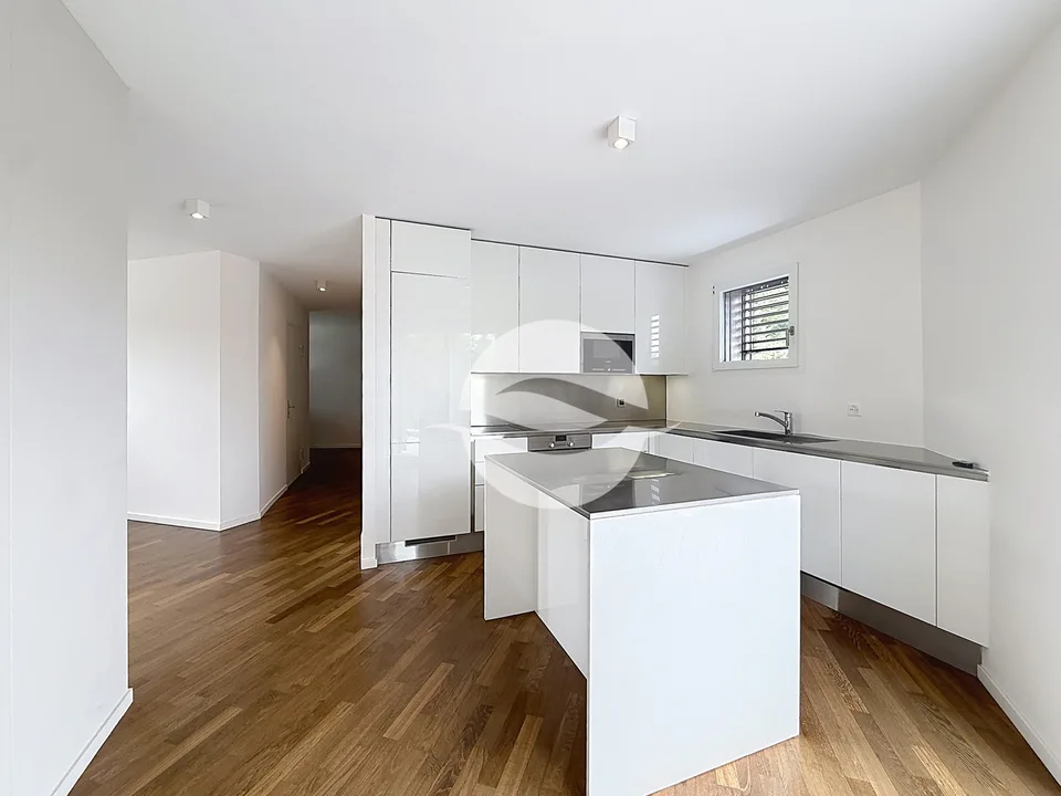 Petit-Lancy - Superbo appartamento di 6.5 locali con terrazza – foto 3 di 10