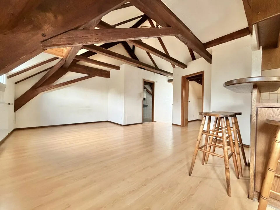 Frick / Maison paysanne de 5,5 pièces – photo 19 sur 28