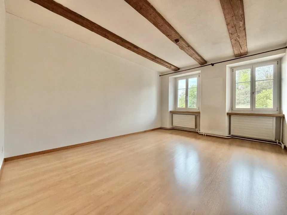 Frick / Maison paysanne de 5,5 pièces – photo 10 sur 28