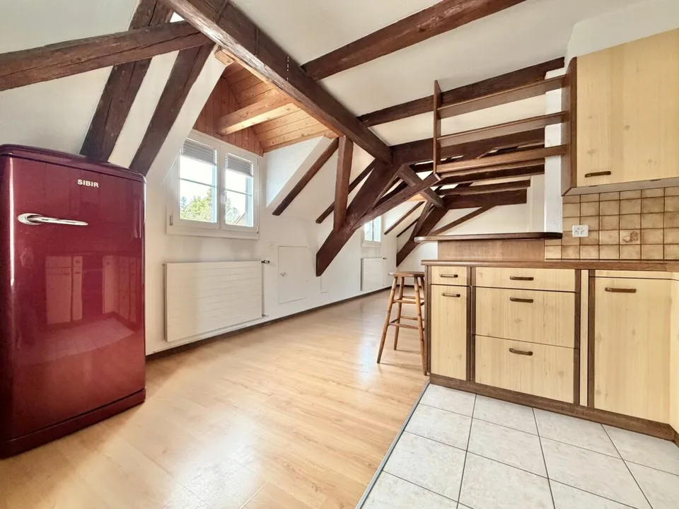 Frick / Maison paysanne de 5,5 pièces – photo 17 sur 28
