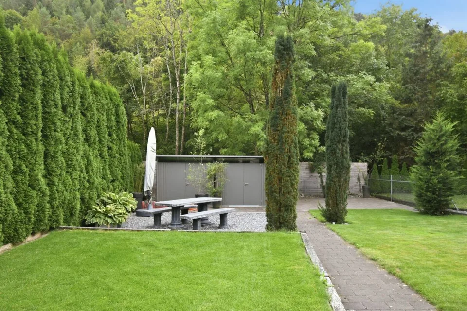 Molto spazio per nuove ideee - casa a schiera con grande intorno – foto 6 di 19