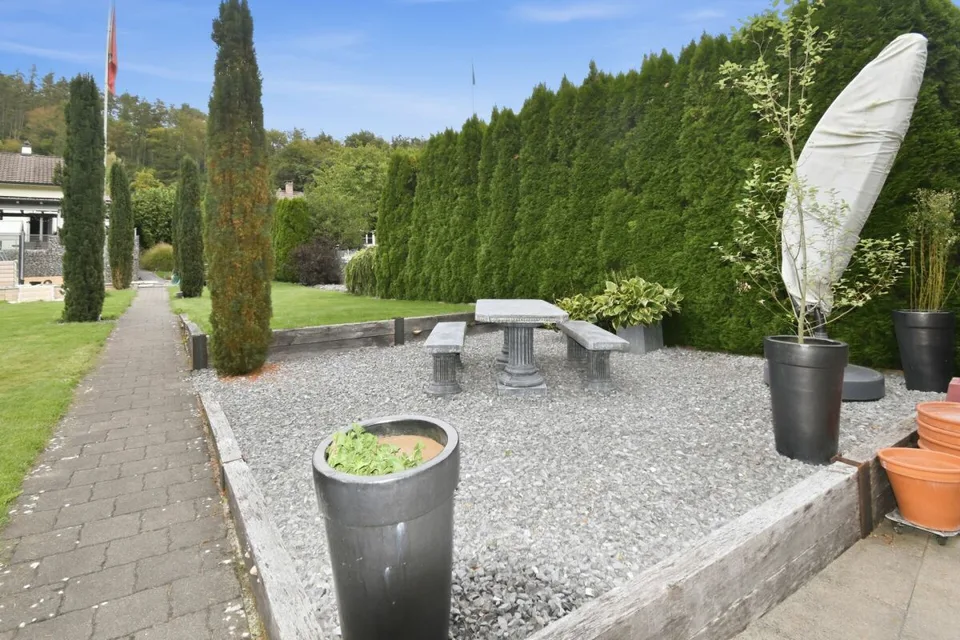 Molto spazio per nuove ideee - casa a schiera con grande intorno – foto 7 di 19