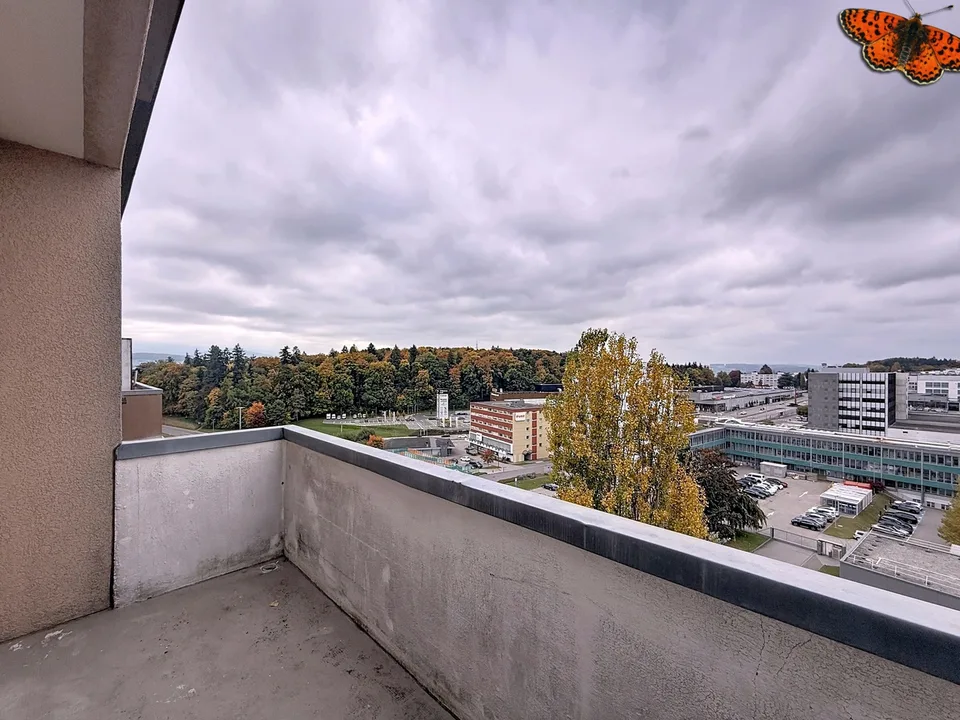 1½ pièces - Avec un balcon – photo 3 sur 7