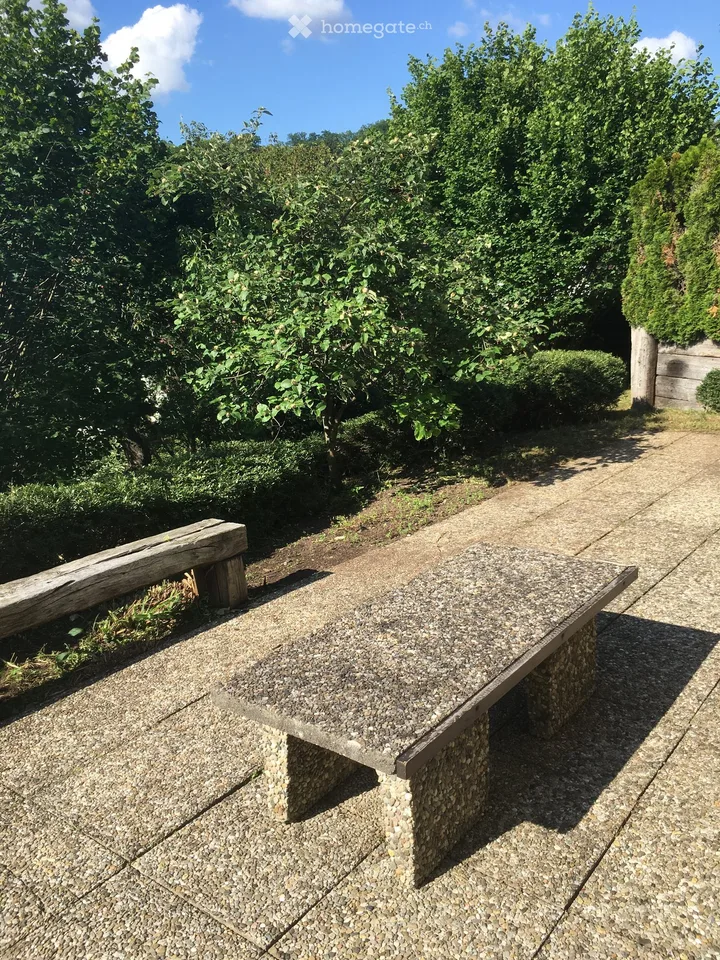 Vivere a Münchenstein nel verde con vista su Basilea – foto 7 di 23