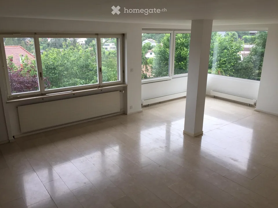 Vivere a Münchenstein nel verde con vista su Basilea – foto 21 di 23