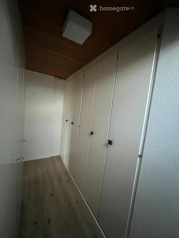 Vivere a Münchenstein nel verde con vista su Basilea – foto 12 di 23